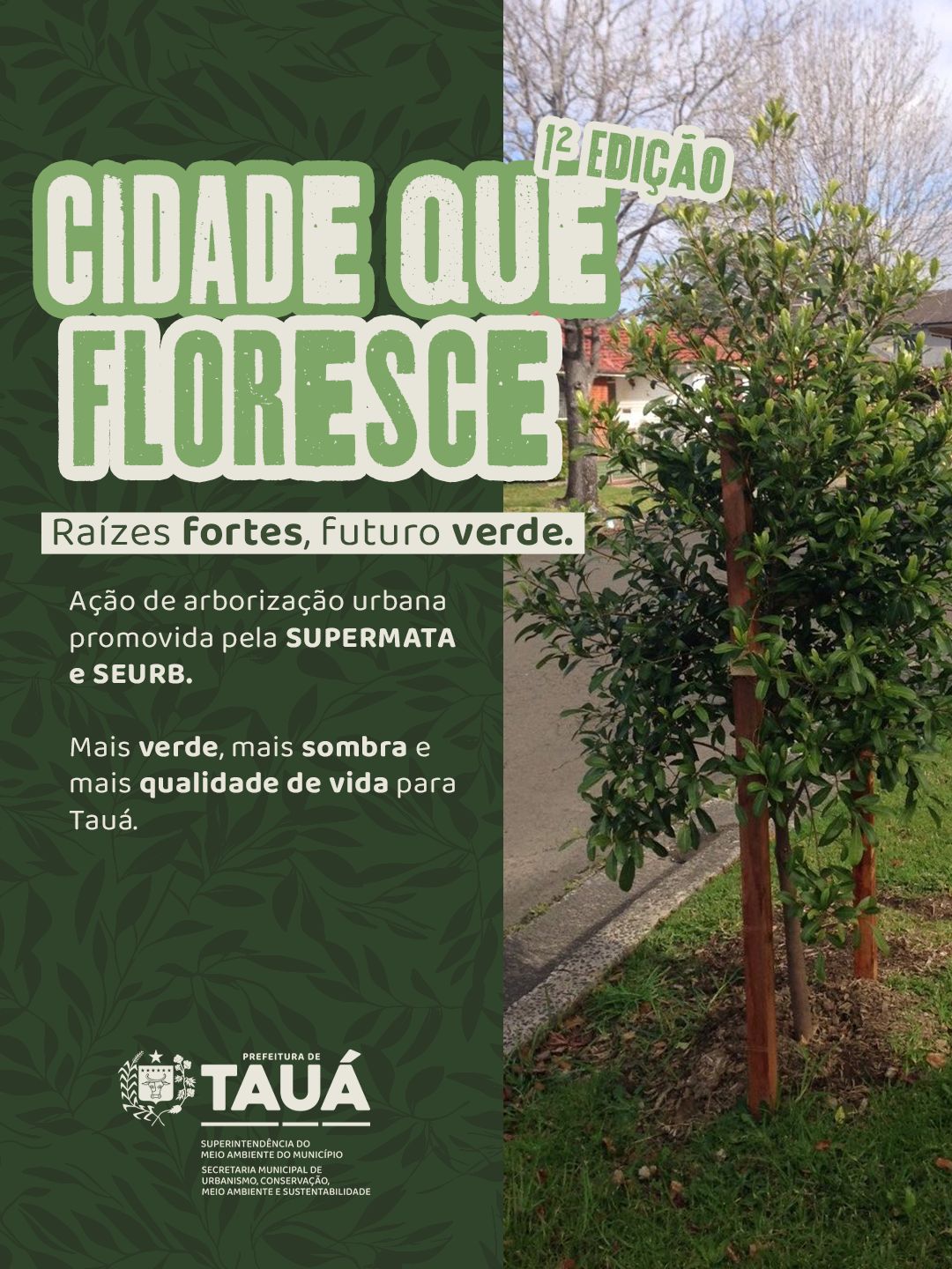 Cidade que Floresce